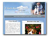 Jack Russell Terriers Danila Jack