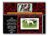 Bulldrow Jamaica American Bulldogs