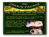 Pekingeses kennel From Jasmin Palace