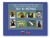 Joy in motion Labrador retriever kennel