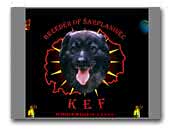 KEF Breeder