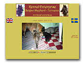 Kennel Enterprise Tervueren