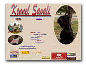 Giant and Mini Schnauzers Kennel Savali