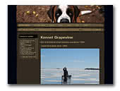 St. Bernard Kennel Grapevine