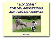 Lux Loral