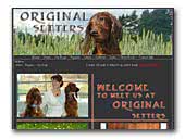 Original Irish Setters kennel