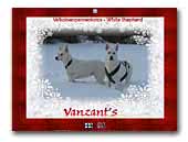 White Swiss Shepherd Dog Kennel Vanzant's