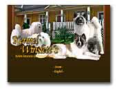 Kennel Winslett's