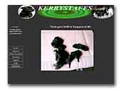 bull terrier acheter