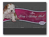 Kings Feeling Bull