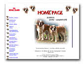 Saint Bernard Kennel King-Baronen's