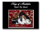 Kings of Montdidier Kennel