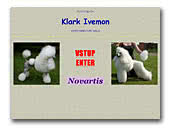 White miniature poodle Klark Ivemon