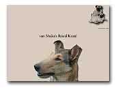 Kennel van Shaka's Royal Kraal