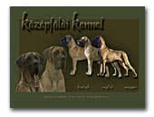 Középföldi Kennel