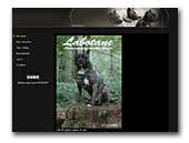 American Staffordshire Terriers Labotane