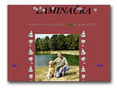 Laminačka Labrador Retriever