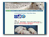 La Melodie Blanche Kennel Berger Blanc Suisse