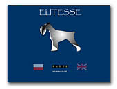 Standard Schnauzers Kennel Elitesse