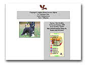 Afghan Hound Le Trosieme Jour