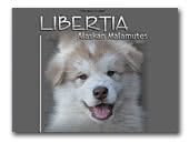 Libertia Alaskan Malamute