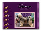 Tibetan Terriers Lilasong