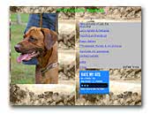 Lionhounds Rhodesian Ridgebacks