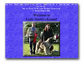 Little Merlin's Kennel