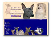 Luramion Peruvian Hairless Dog