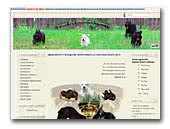 LuxR.org Zwergschnauzers