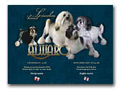 Alwaro FCI Little Lion Dogs