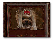 Yorkshire Terriers Kennel Made In Superior