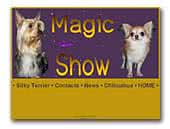 Chihuahuas Kennel Magic Show