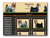 Yorkshire Terrier Kennel Majestic 