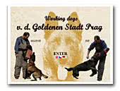 v.d. Goldenen Stadt Prag