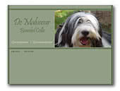 Bearded Collie de Malvasur kennel