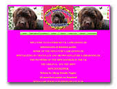 Manorborn UK Miniature Labradoodles
