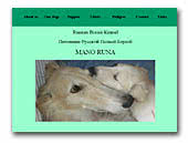 Borzoi Mano Runa