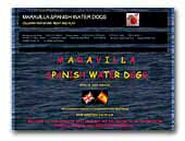 Maravilla Spanish Water Dogs