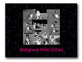 Rough and Smooth Collies Margrave Hills