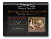 English Setters Kennel Snowsett