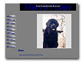 Mary's Puppy Newfoundlands Kennel