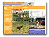 mastif-dog.com