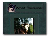 Maywind Finsk Lapphund