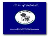 Labrador Retrievers M.C. of Palmhill Kennel