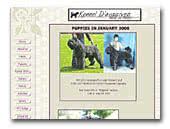 Bouvier des Flandres Kennel D'evasives