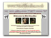 Mini Doodles UK Labradoodles Breeders