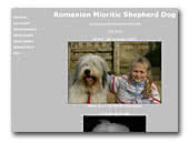 mioritic.nl - Romanian Mioritic Shepherd Dog