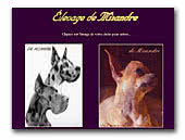 Chihuahua Elevage de Misandre