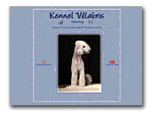 Kennel Villabris